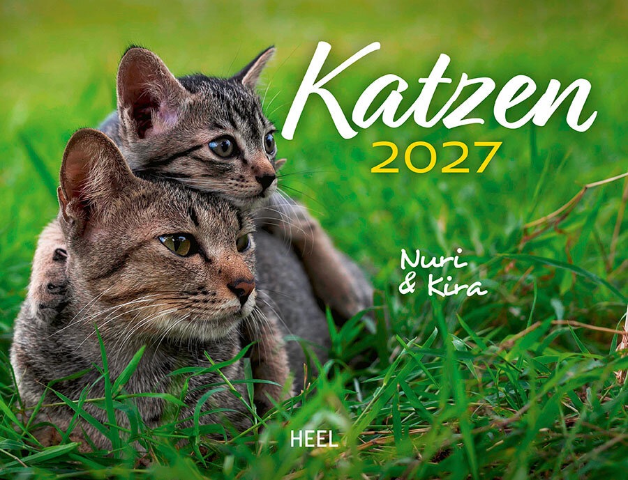 Katzen Eintragskalender 2027