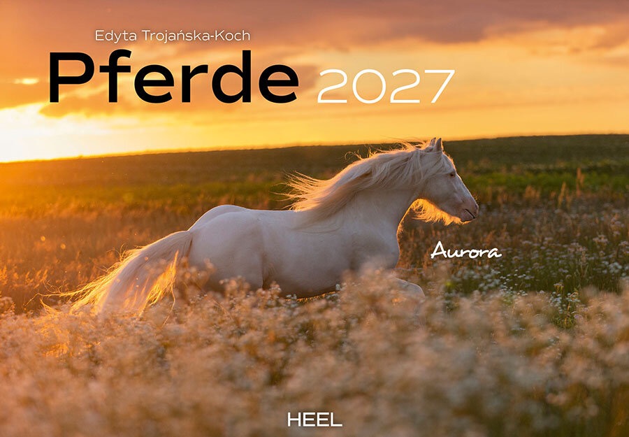 Pferde Monatskalender 2027