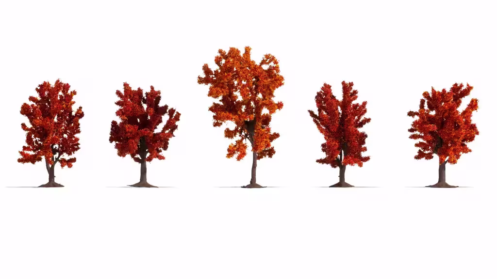 Herbstbäume 5 Stück-1