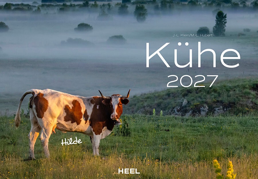 Kühe Monatskalender 2027