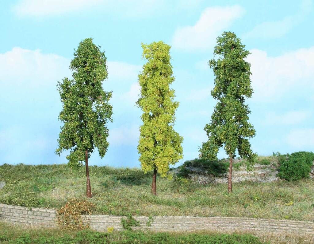 3 Laubbäume 14 cm-1