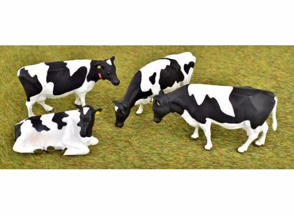 Holstein-Rinder, 4 Friesische Rinder mit Ohrlabel und Transponder -1