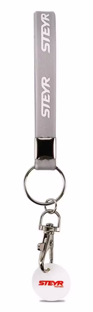 Steyr Schlüsselanhänger mit Einkaufswagen-Chip-1