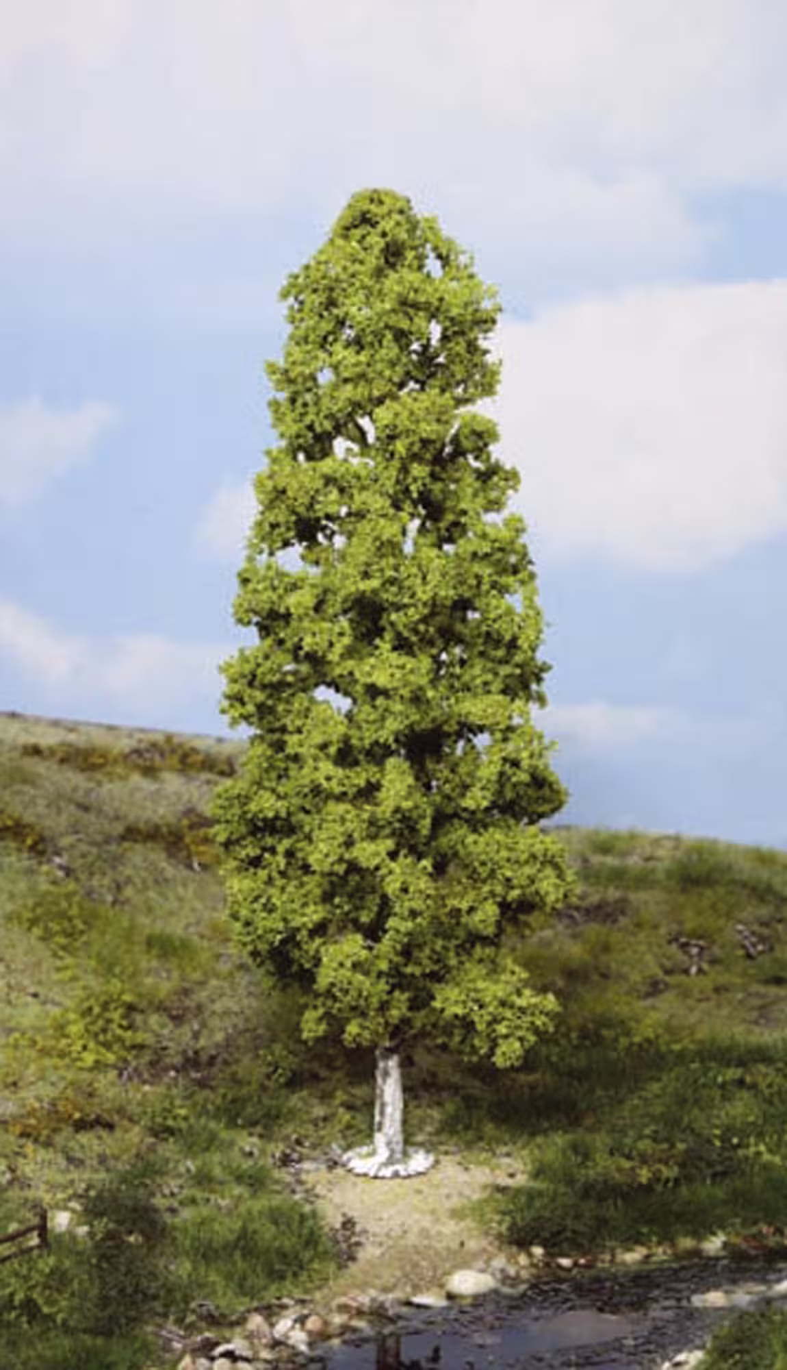 1 Birke 27 cm Modell von HEKI 1:87 eilbote-onlineshop - Agrarfox