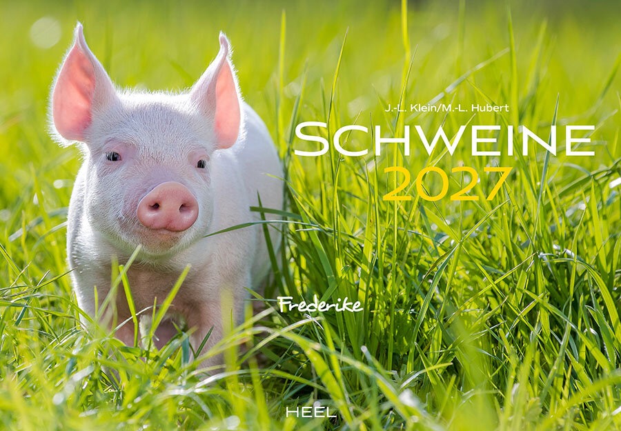 DA76918-1 Artikelname: Schweine Monatskalender 2027 Originalhersteller:  Hersteller-Nr: 620521